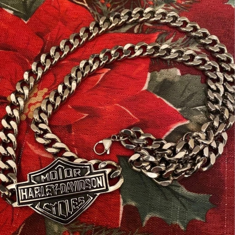 - Harley Big Chain, Jewelry for Men, BFF, HD - Picture 2 of 4